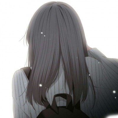 终于分清蜡梅和梅花了